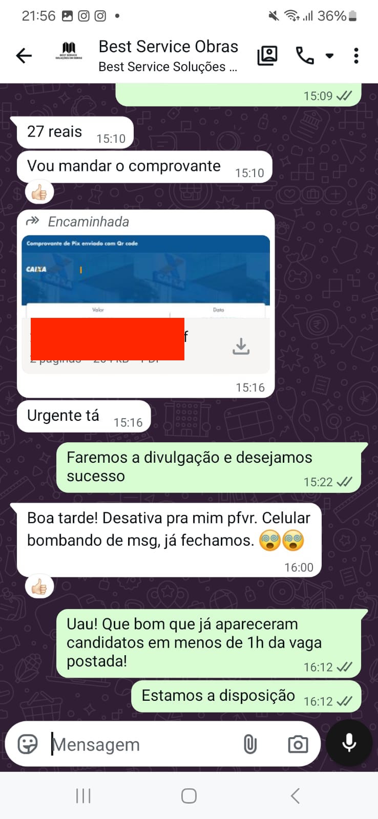 Print de mensagem de anunciante 3